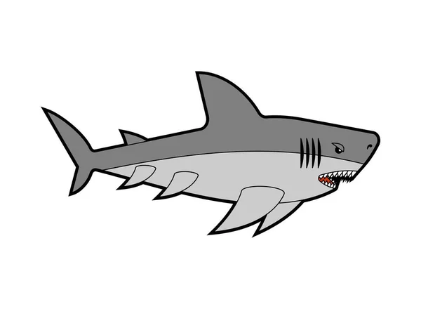 Cápa Elszigetelve Tengeri Ragadozó Nagy Ragadozó Tengeri Halak Vektor Illusztráció — Stock Vector