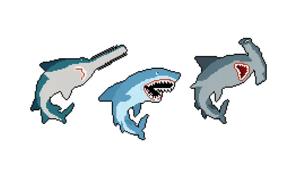 Shark Set Pixel Art Coleção Predadores Marinhos Bits Tubarão Martelo — Vetor de Stock