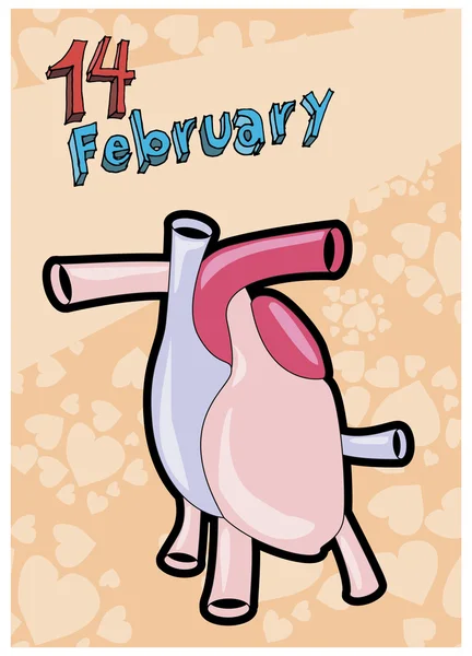 Valentine, wenskaart voor felicitatie, 14 februari, Valentijnsdag, hart achtergrond, anatomische cartoon hart — Stockvector