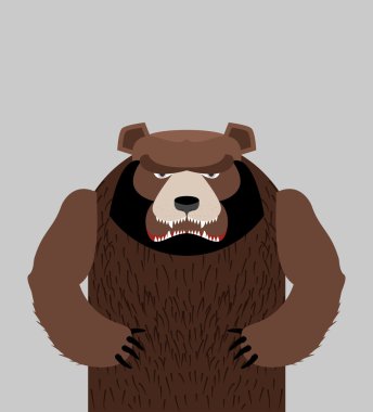 Kızgın ayı ayakta