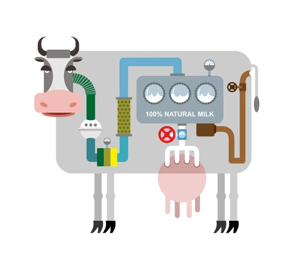 Cow and milk. Infographics getting natural milk. Stages of  pro — Stock Vector