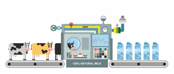 Infographics  milk production. Stages of milk production from co — Stock Vector