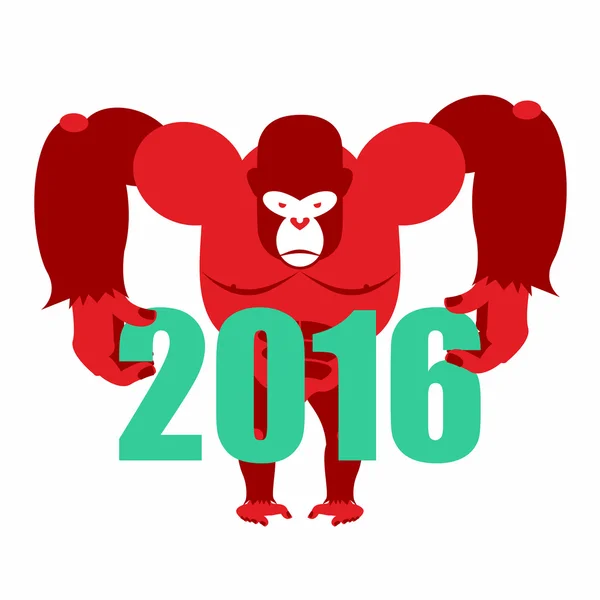 Gorilla mantiene los números 2016. Símbolo de año nuevo mono rojo. Vect. — Archivo Imágenes Vectoriales