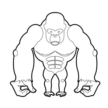 Big gorilla coloring book. Vector illustration of African animal