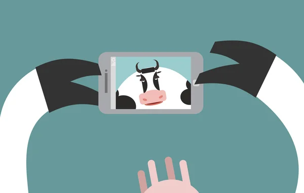 Cow makes selfie. Farm Animal clicks on a Smartphone. Vector ill — 图库矢量图片