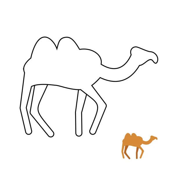 Camel coloring book. Desert animal vector illustration. — Stock vektor