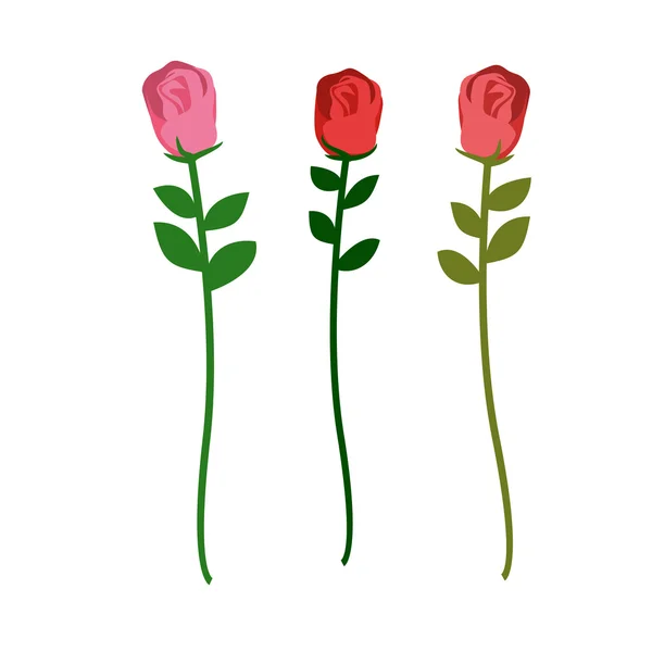 Conjunto de três rosas de cores diferentes sobre um fundo branco. Ve — Vetor de Stock