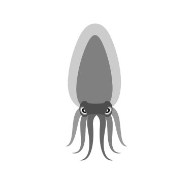 Squid on a white background. Vector illustration of a sea animal