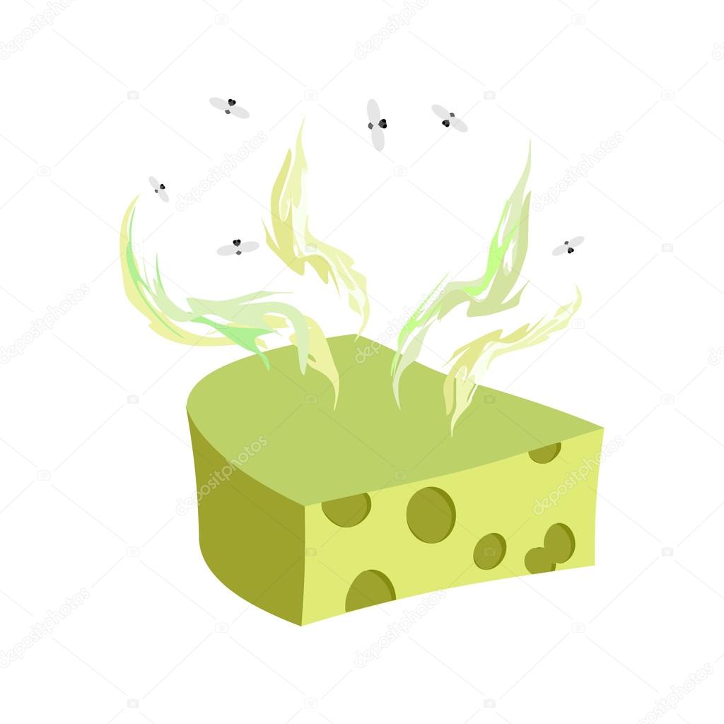 Cheese dorblu. Piece of cheese with a bad smell and flies. Vecto