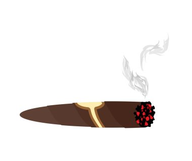Cigar and smoke on a white background. An expensive Cuban cigar 
