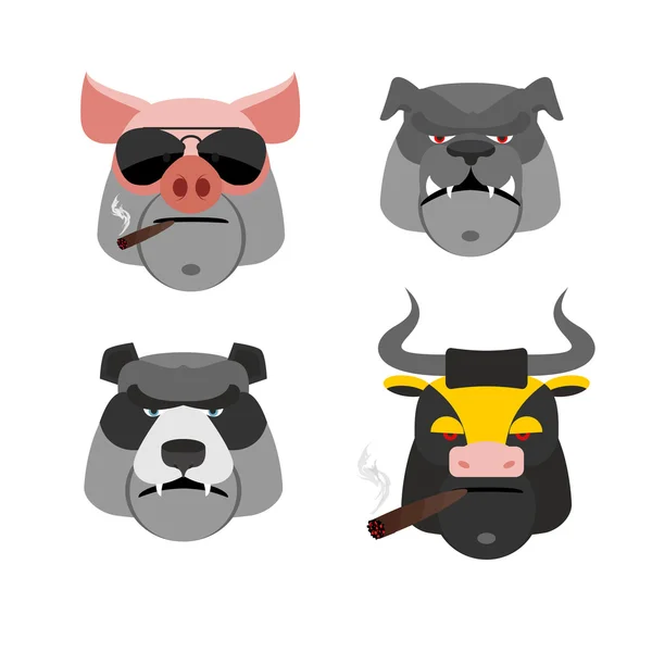 Set of angry animals. Head of a Pig and bull. Bad  Bear and Bull — Stock Vector