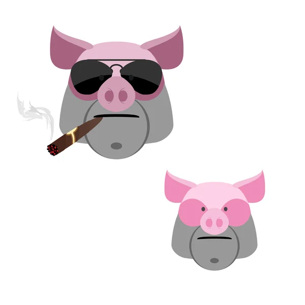 Pig with a cigar. Scary and angry Boar's head on a white backgro — Stock Vector