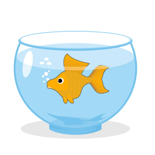 Goldfish in an aquarium. Symbol of fulfillment of all desires. M — Stockvector