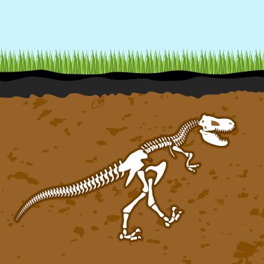 Skeleton of  Tyrannosaurus Rex. Dinosaur bones in Earth. Fossil clipart