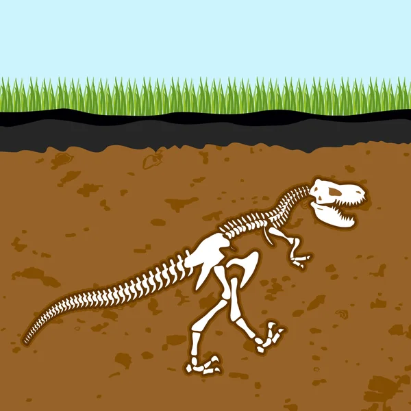 Esqueleto de Tyrannosaurus Rex. Huesos de dinosaurios en la Tierra. Fósiles — Archivo Imágenes Vectoriales