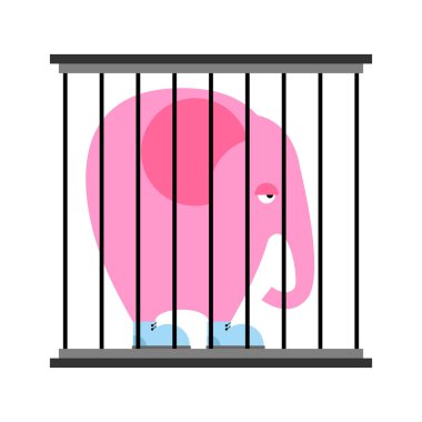 Üzgün pembe fil kafeste. Parmaklıklar arkasında hayvan Hayvanat Bahçesi. Büyük canavar