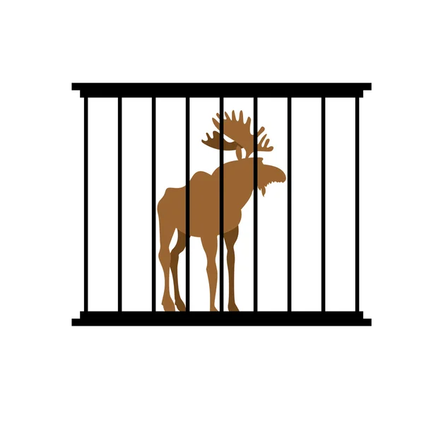 檻の中の鹿。バーの後ろに動物園の動物。大きな角を持つエルク — ストックベクタ