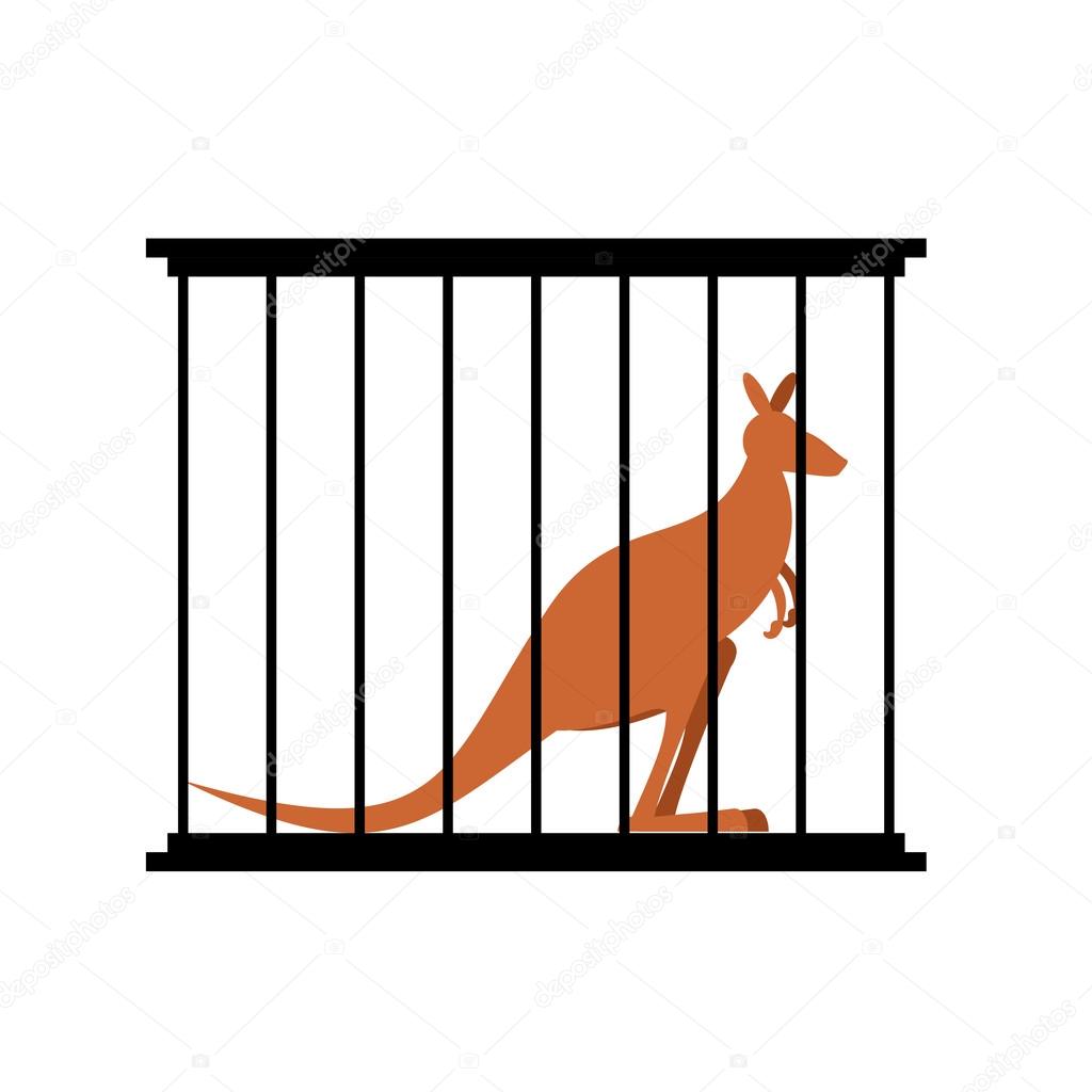 Kangaroo in cage. Animal in Zoo behind bars. Australian wild ani