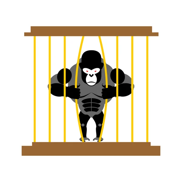 Gorila enjaulado en el zoológico. Fuerte animal salvaje aterrador en cautiverio . — Vector de stock