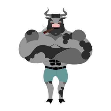 Big and strong Bull. Farm animal bodybuilder with large horns. E