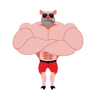 Strong pig bodybuilder with huge muscles. Farm animal athlete. P
