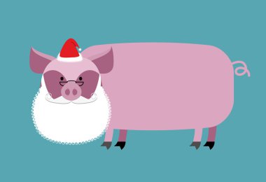 Santa Claus Pig. Farm animal with beard and moustache. Christmas