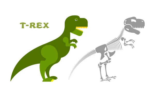 Dinosaurus Tyrannosaurus skelet. Beenderen en schedel t-Rex. Oude — Stockvector