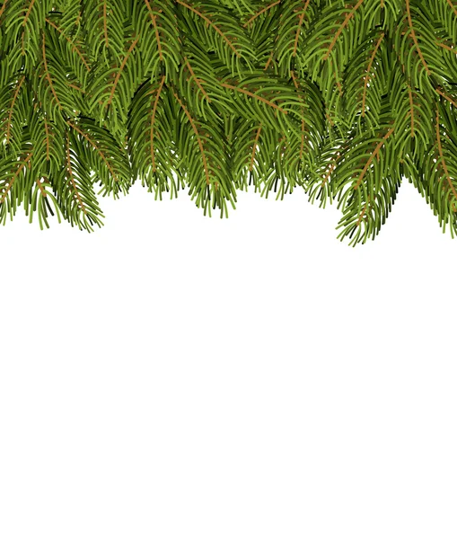FIR ramos em folha branca. Fundo de Natal de congratula —  Vetores de Stock