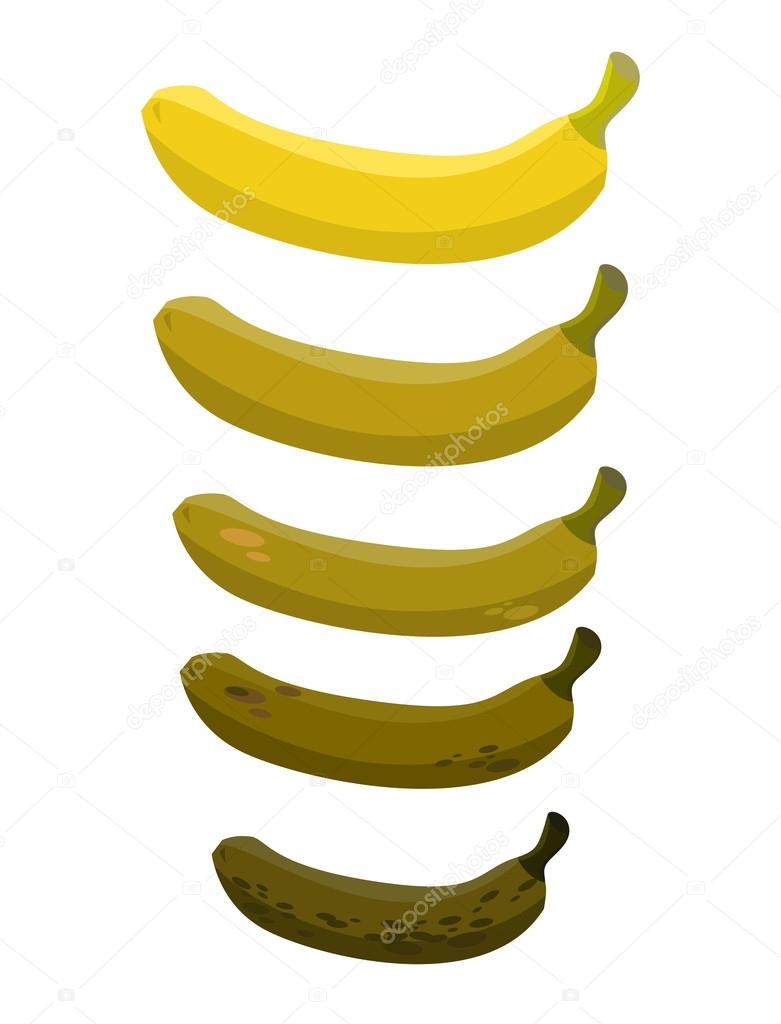 Banana. Stage of rotting banana. Beautiful yellow fresh banana a