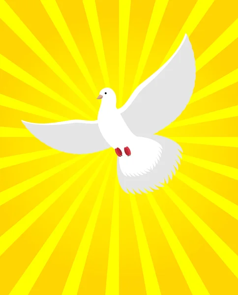 White Dove in sunny radiance. Divine light and white bird. White — Stock vektor