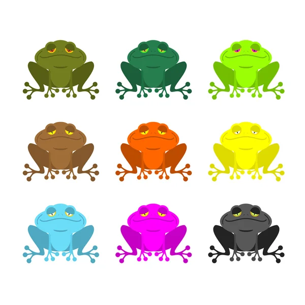 Frog color Set . Colored toads. Woody Orange frog. Yellow and bl — Stock Vector