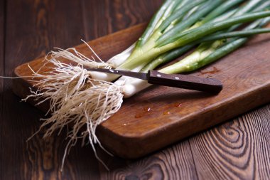 Taze yeşil soğan kökleri ile. Rustik.