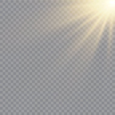 Vektör şeffaf güneş ışığı. Vektör sahnesi spot ışıklarıyla aydınlatıldı. Şeffaf arkaplanda ışık efekti 