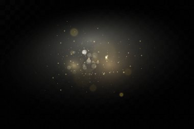 Noel ışığı etkisi. Parıldayan sihirli toz parçacıkları. Toz kıvılcımları ve altın yıldızlar özel ışıkla parlıyor..