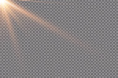 Güneş ışınları. Parlayan ışık şeffaf bir arkaplanda patlar. Kirişle. Şeffaf parlak güneş, parlak ışık.