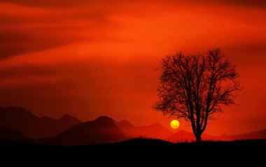 Günbatımı ağaç, Kosova