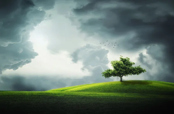 Nuvens sobre o campo com árvore solitária — Fotografia de Stock