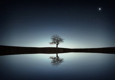 Tree reflected in the lake clipart