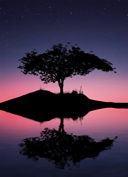 su yansıma ağacında