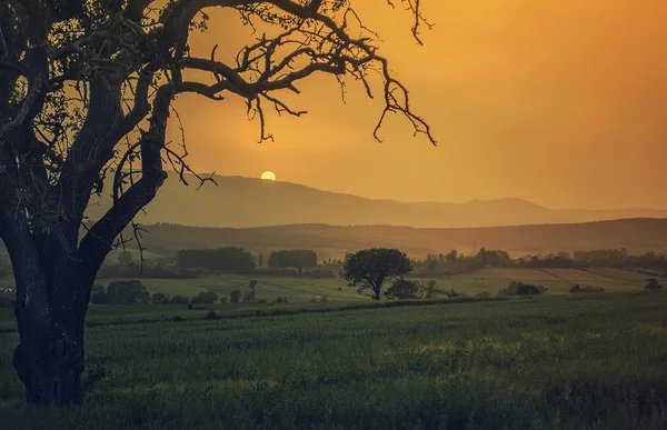 Pôr do sol — Fotografia de Stock