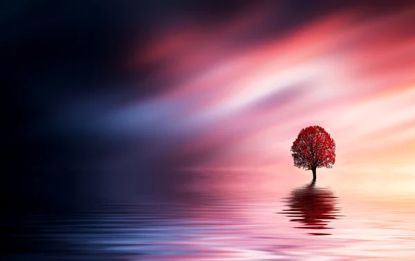 Solitude tree with birds — Stock Photo, Image