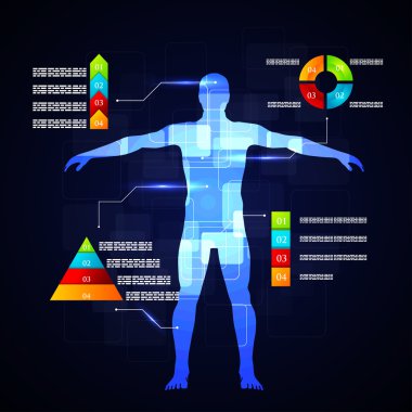 Tıp infographics. İnsan vücudunun şematik açıklaması.