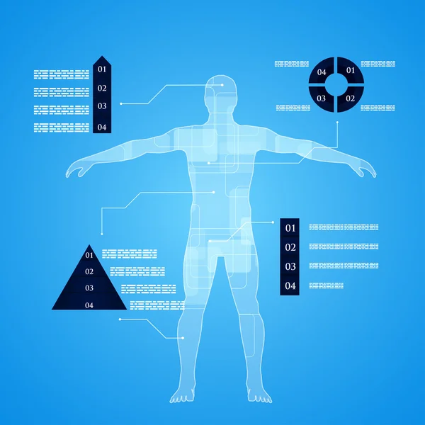 Infografías médicas. Descripción esquemática del cuerpo humano . — Vector de stock