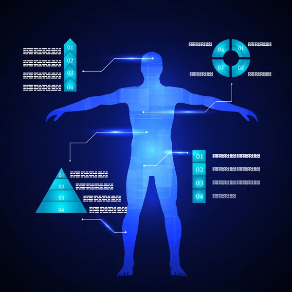 Schematic description of the human body. — Stock Vector