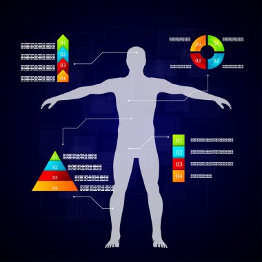 Tıp infographics. Vücut şematik açıklaması.