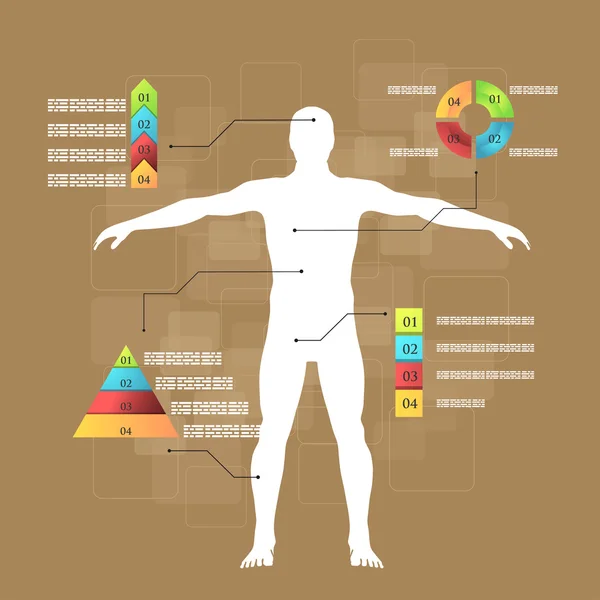 Tıp infographics. Vücut şematik açıklaması. — Stok Vektör