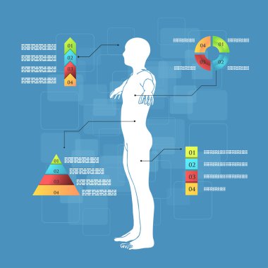 Infographics insan vücudu anatomisi