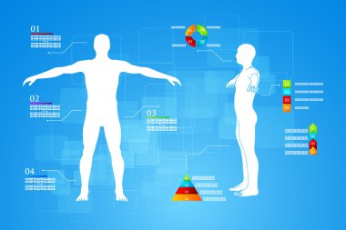 Infographics insan vücudu anatomisi