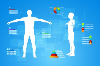 Infographics Human Body Anatomy clipart