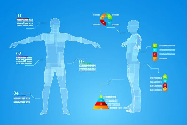 インフォ グラフィックの人間の体の解剖学 — ストックベクタ